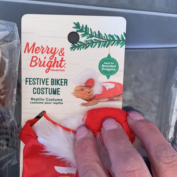 Reptile costume - Picture 3 of 9